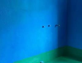 曲水卫生间测漏水多少钱